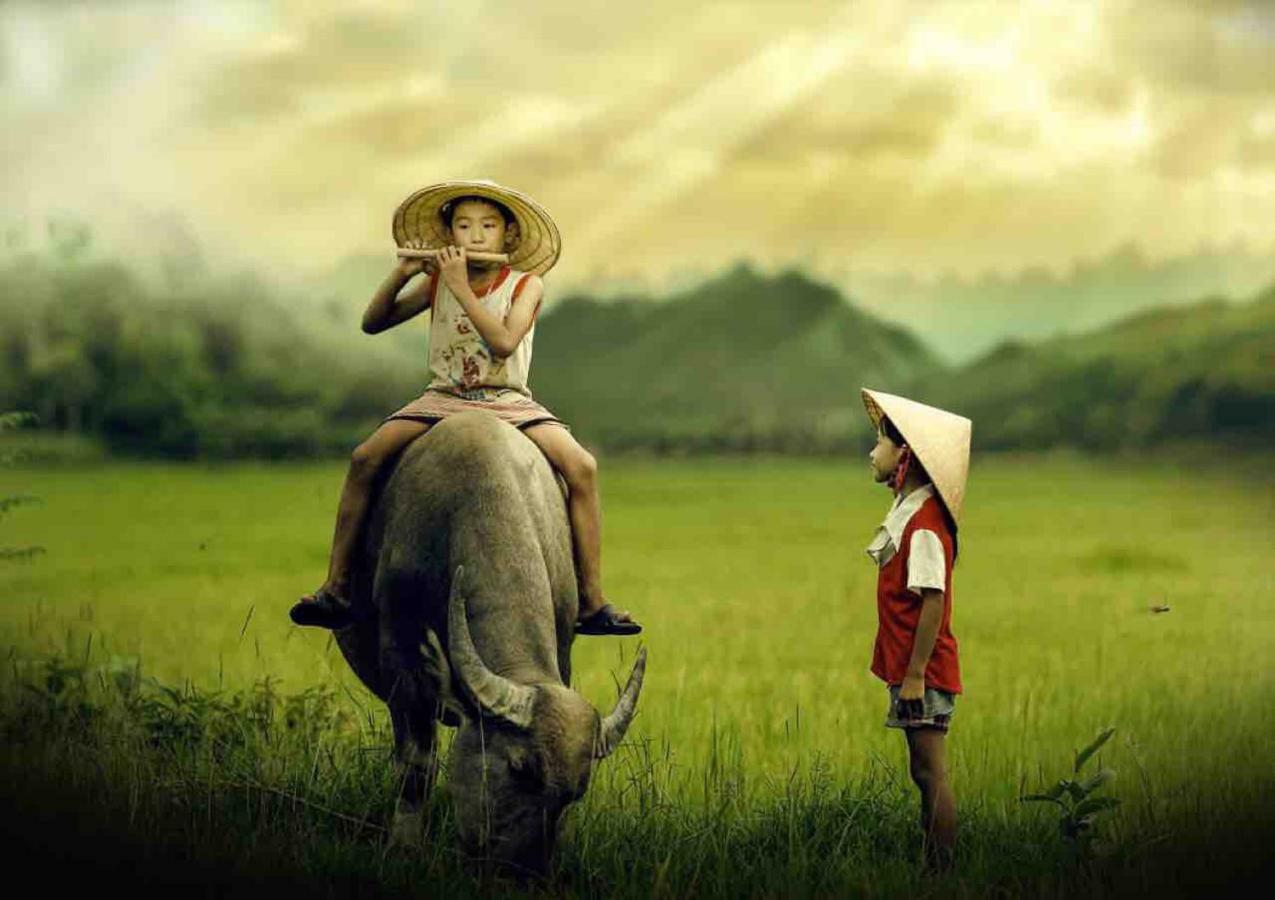 Hang Mua Happiness Homestay نينه بينه المظهر الخارجي الصورة