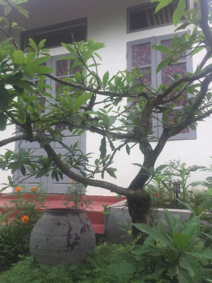 Hang Mua Happiness Homestay نينه بينه المظهر الخارجي الصورة