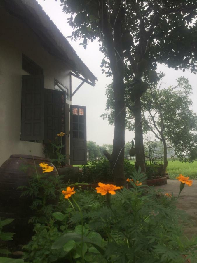 Hang Mua Happiness Homestay نينه بينه المظهر الخارجي الصورة